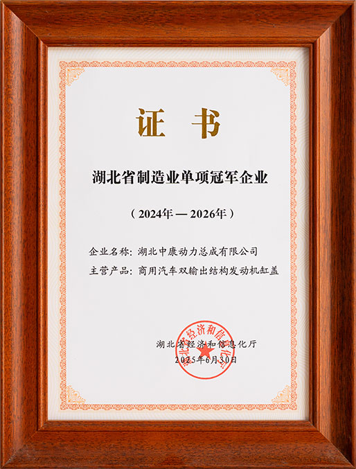 Hubei Provincial Manufacturing Single Champion Enterprise